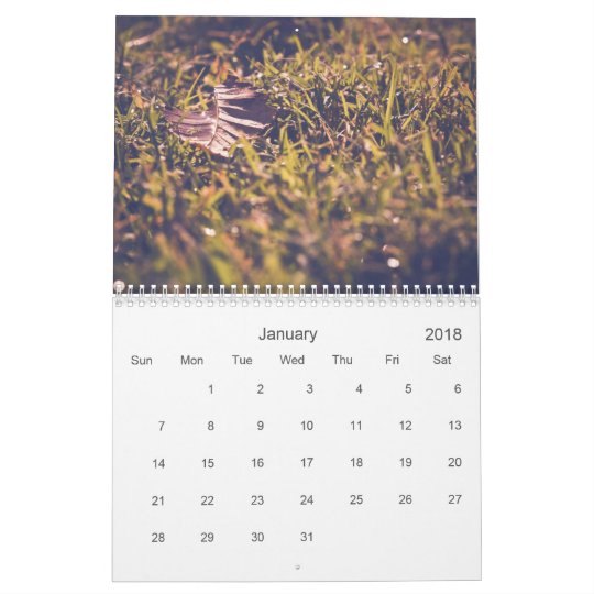 Random nature for 2011 calendar