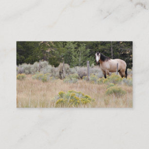 Range horse business card
