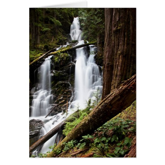 Ranger Falls Cards (Front)