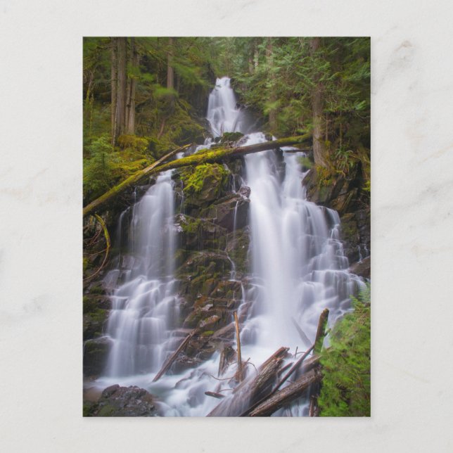 Ranger Falls, Mt. Rainer National Park Postcard (Front)