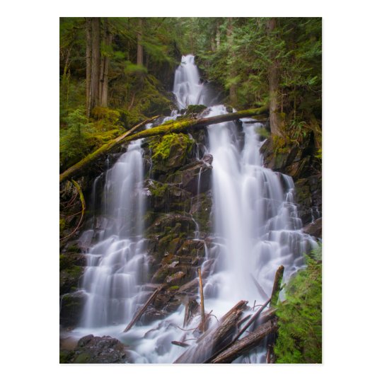 Ranger Falls, Mt. Rainer National Park Postcard | www.bagsaleusa.com