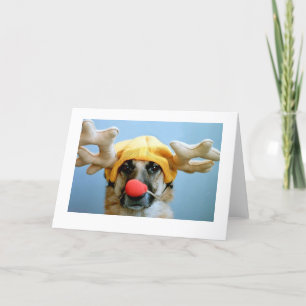 Ranger Greeting Card (blank inside)