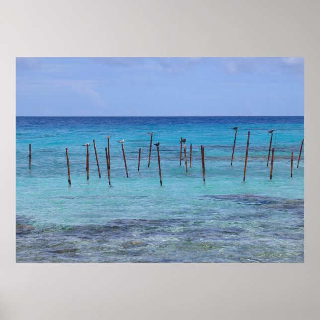 Rangiroa lagoon poster (Front)