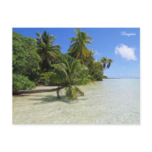 Rangiroa Palm Trees