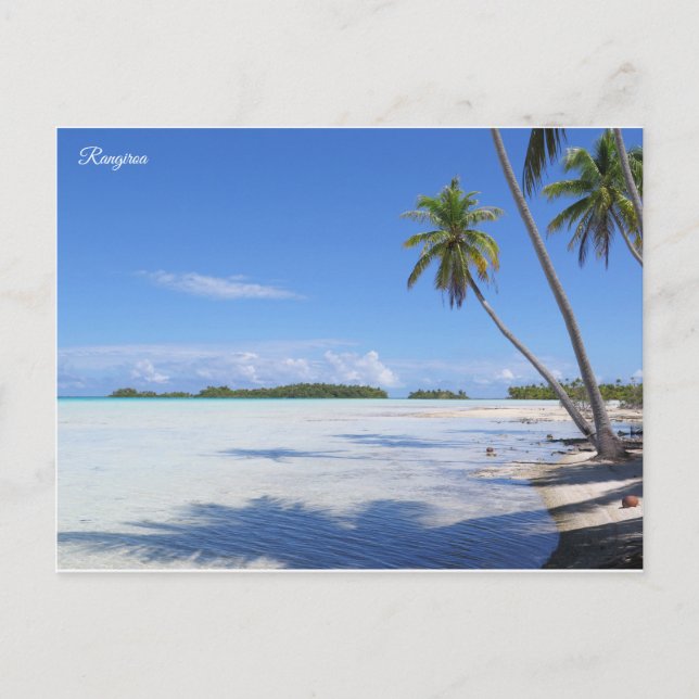 Rangiroa palm trees postcard (Front)