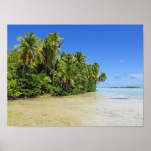 Rangiroa Palm Trees Poster