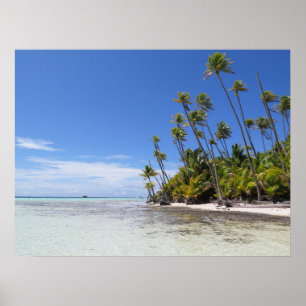 Rangiroa palm trees poster