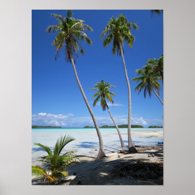 Rangiroa Poster (Front)