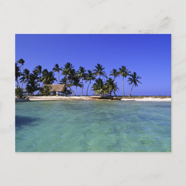 Ranguana Caye, Belize Postcard (Front)