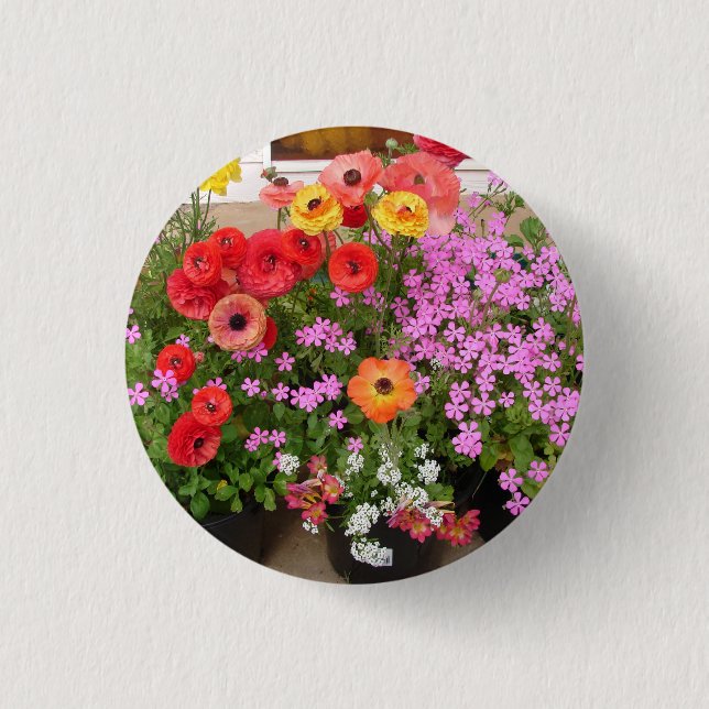 Rannunculus Spring Bulbs floral Flowers Flower Button (Front)