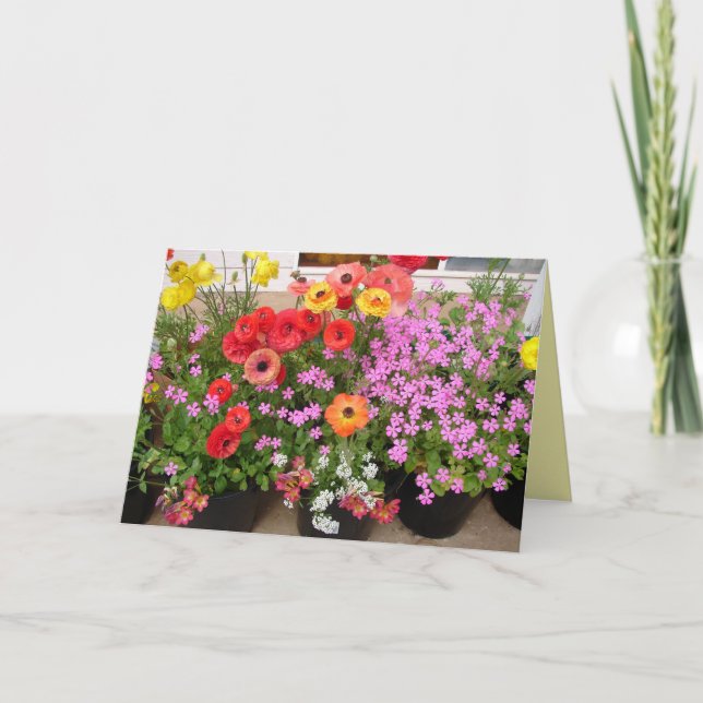 Rannunculus Spring Bulbs floral Flowers Flower Card (Front)