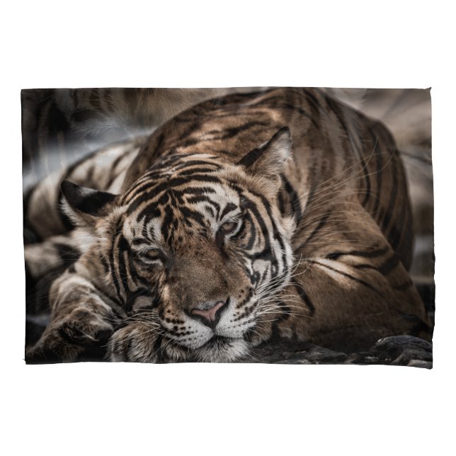 Ranthambore tiger: close-up fine art. pillow case (Front)
