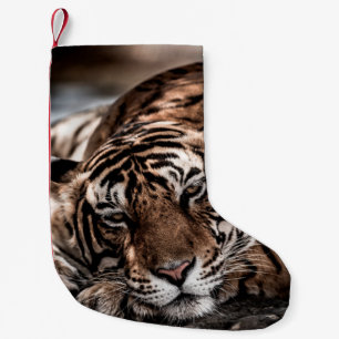 ranthambore wild male tiger Fine art image portrai Small Christmas Stocking