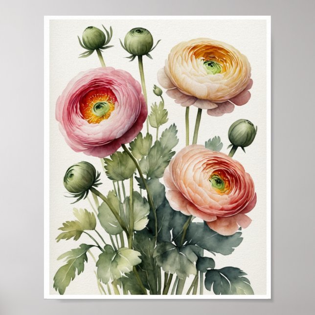 Ranunculus Flowers Handmade Water Color Poster (Front)