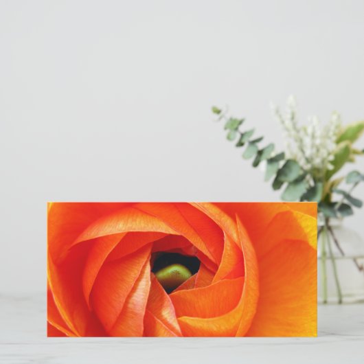 Ranunculus Macro Photocard (Standing Front)