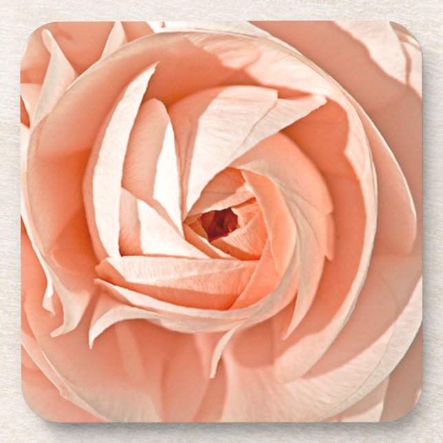 Ranunculus Swirl Coaster (Front)