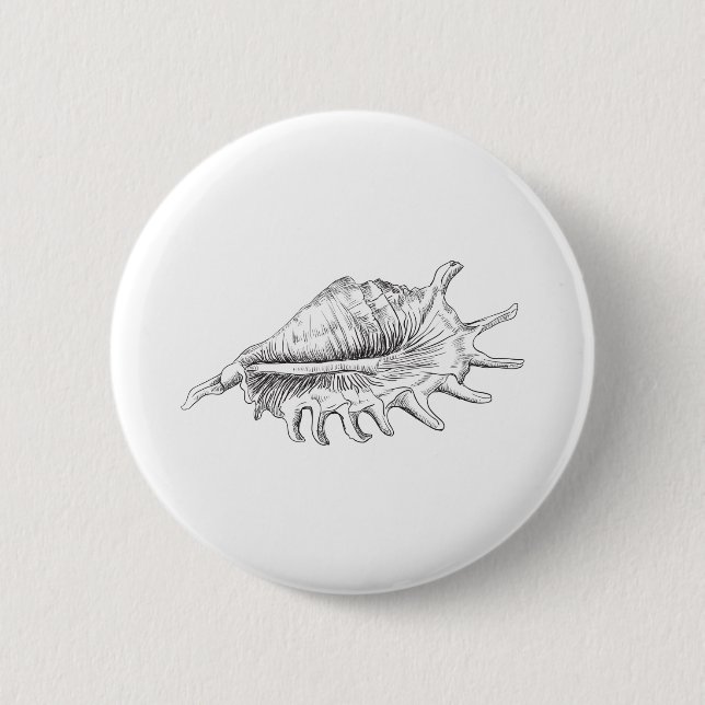 Rapana Seashell Button (Front)