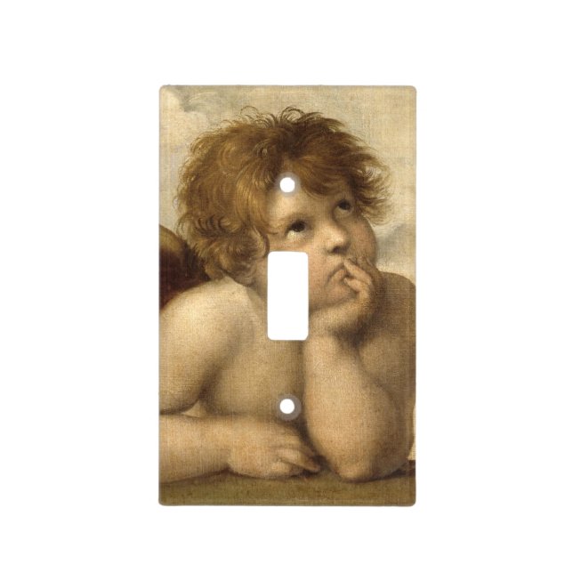 Raphael Angel 1 Light Switch Cover (Front)