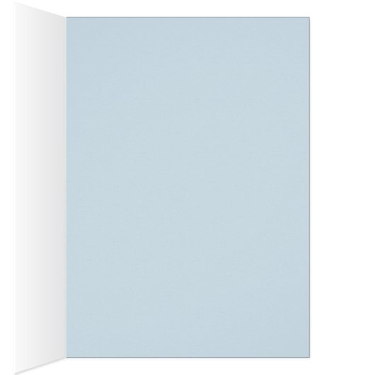 rapid azur - vintage travel (Inside (Right))