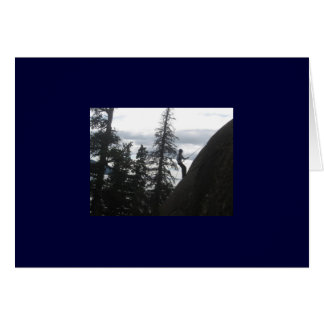 Rappelling Card