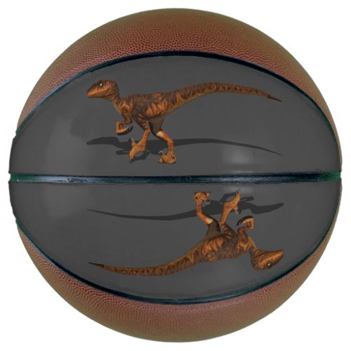 Raptor 1 3D Basketball