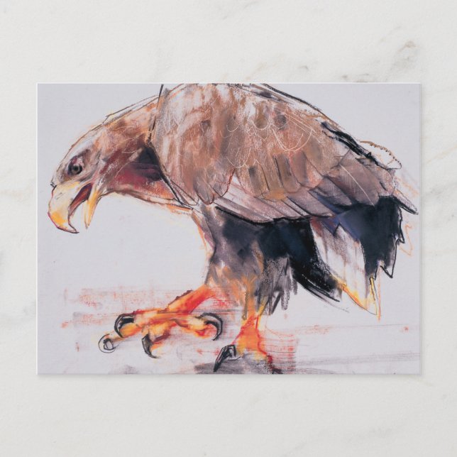 Raptor 2001 postcard (Front)