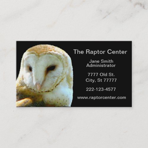 Raptor Barn Owl Profile Business Card