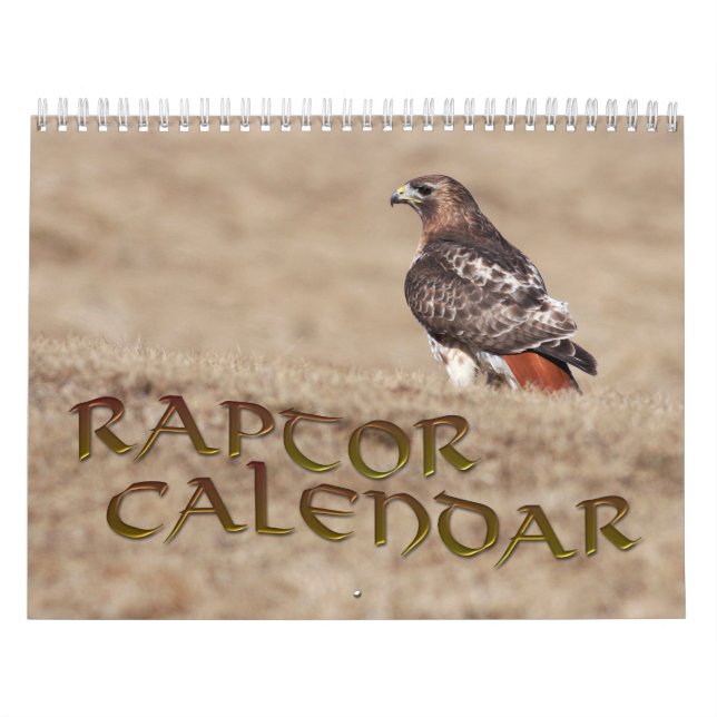 Raptor Calendar (Cover)