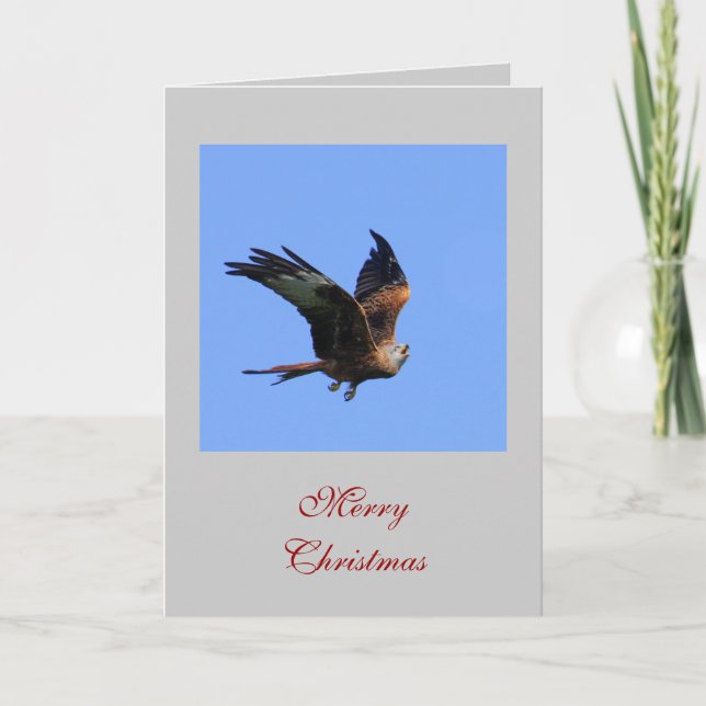 Raptor Christmas Cards (Front)