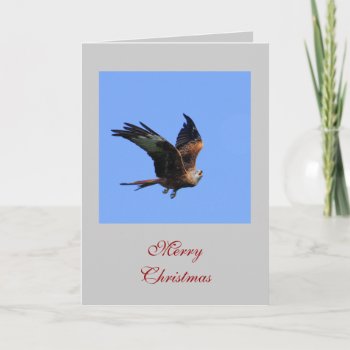 Raptor Christmas Cards by Welshpixels at Zazzle