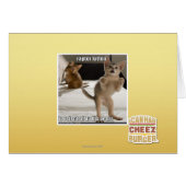 Raptor Kitten (Front Horizontal)