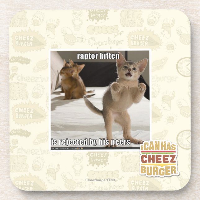 Raptor Kitten Beverage Coaster (Front)