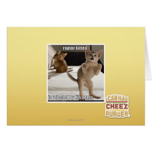 Raptor Kitten Cards (Front Horizontal)