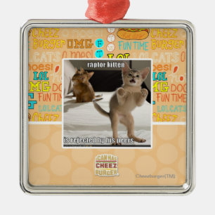 Raptor Kitten Metal Ornament