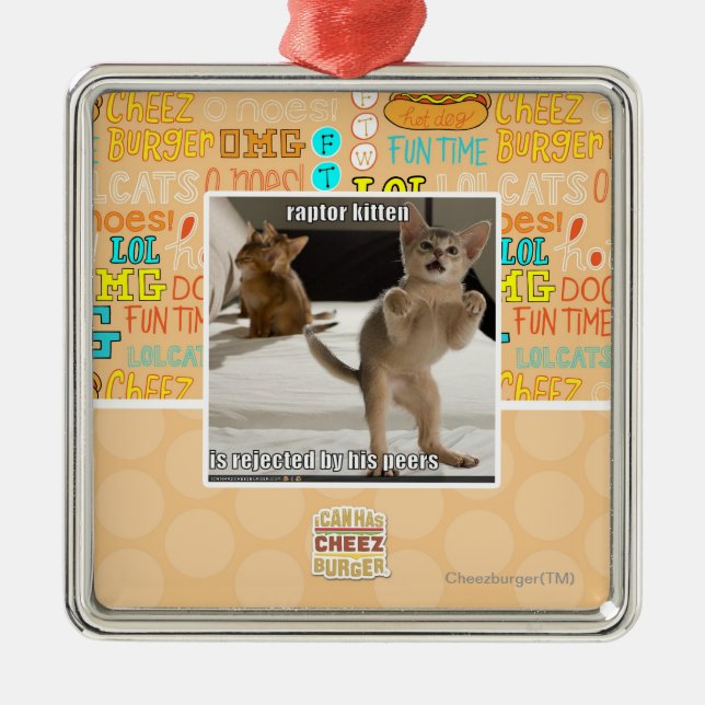 Raptor Kitten Metal Ornament (Front)