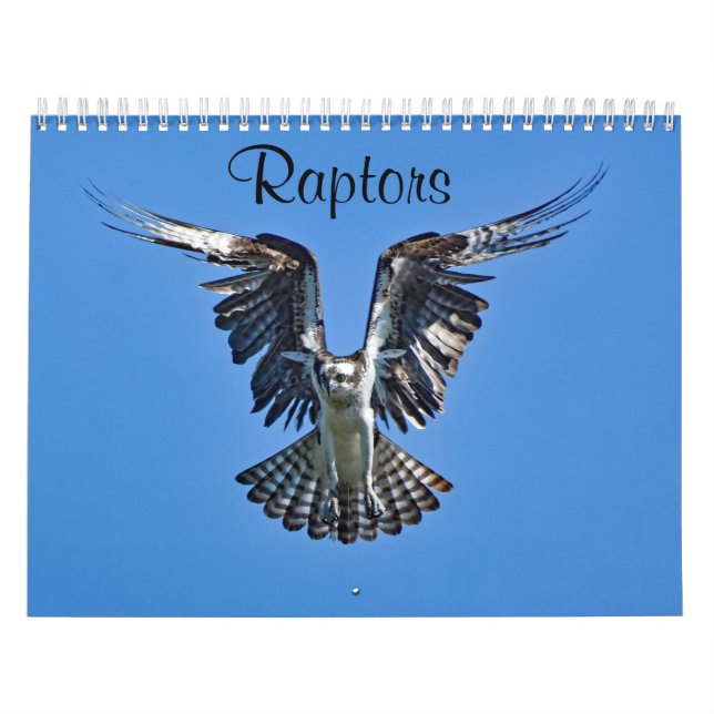 Raptors Calendar (Cover)