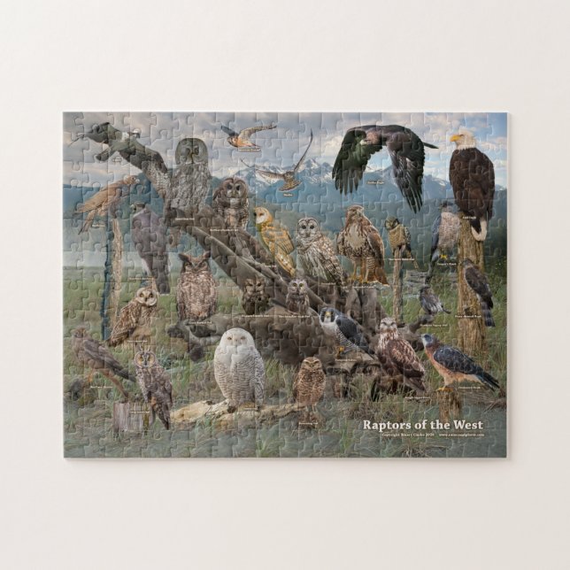 Raptors of the West Jigsaw Puzzle (Horizontal)