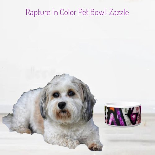 Rapture In Color Ceramic Pet Bowl