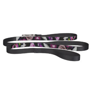 Rapture In Color Dog Leash