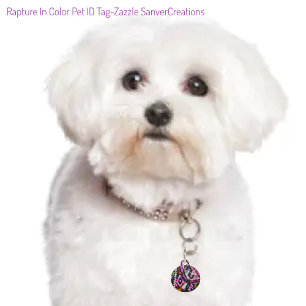 Rapture In Color Pet ID Tag