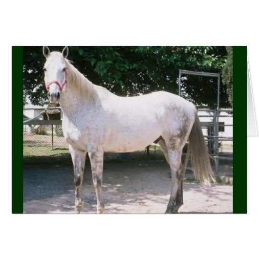 Rapturous (Front Horizontal)