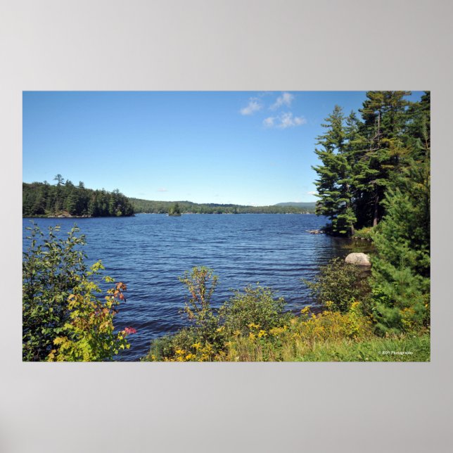 Raquette Lank in the Adirondack print 08 229 (Front)