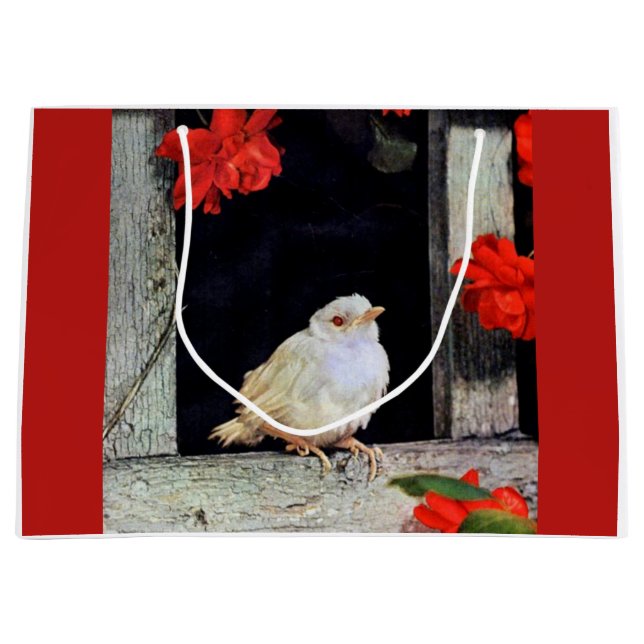 RARE albino robin bird Large Gift Bag (Front)