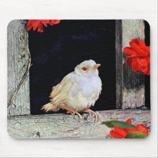 RARE albino robin bird Mouse Pad