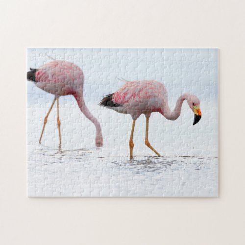 Rare Beautiful Andean Flamingo Pink Bird Chile Jigsaw Puzzle