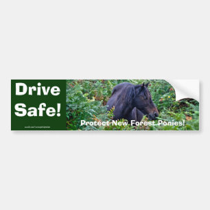 Rare Black New Forest Pony - Wild Horse - England Bumper Sticker