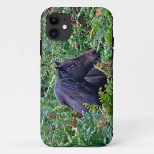 Rare Black New Forest Pony _ Wild Horse _ England iPhone 11 Case