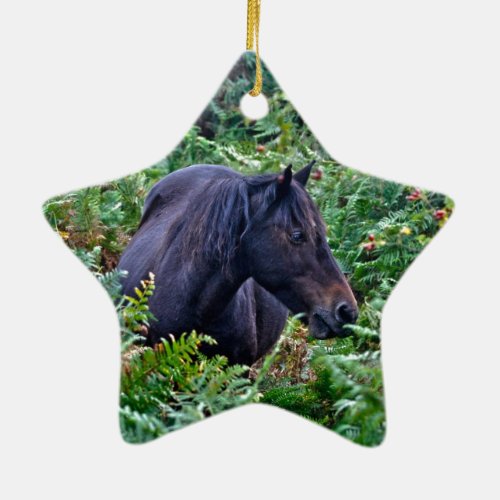 Rare Black New Forest Pony _ Wild Horse _ England Ceramic Ornament