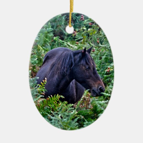 Rare Black New Forest Pony _ Wild Horse _ England Ceramic Ornament