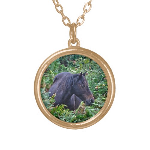 Rare Black New Forest Pony _ Wild Horse _ England Gold Plated Necklace